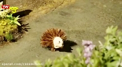 بره ناقلا کارتون بره ناقلا | ق...