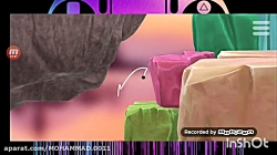 من دیگه ررررررد دادم