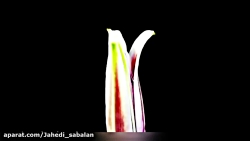 تیزر و تبریک ولادت حضرت معصومه...