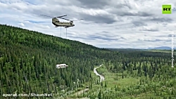 Out of the wild _ Alaska remov...