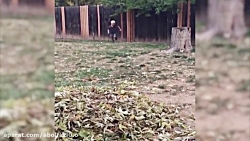 کلیپ خنده دار، 20 دقیقه ویدئو...