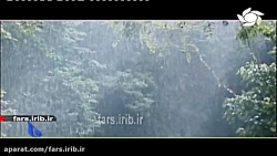 ترانه دلنشین &quot; لاله صحرای...