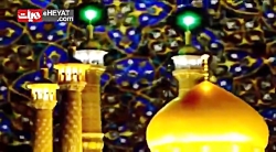 حاج محمود کریمی | مولودی خوانی...