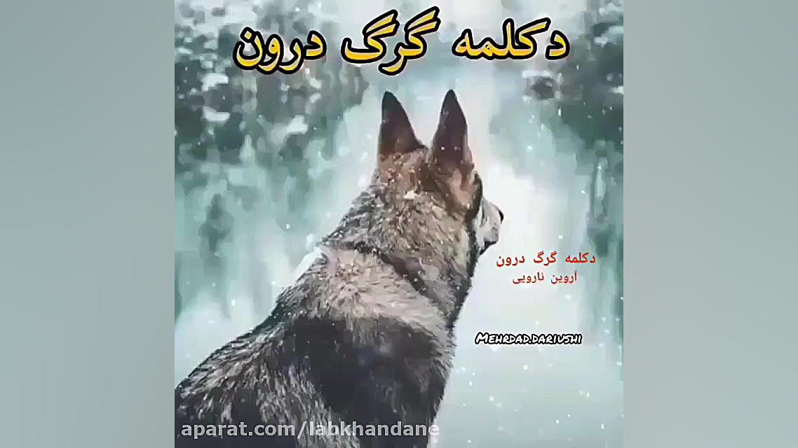 دکلمه گرگ درون الناز شاکردوست