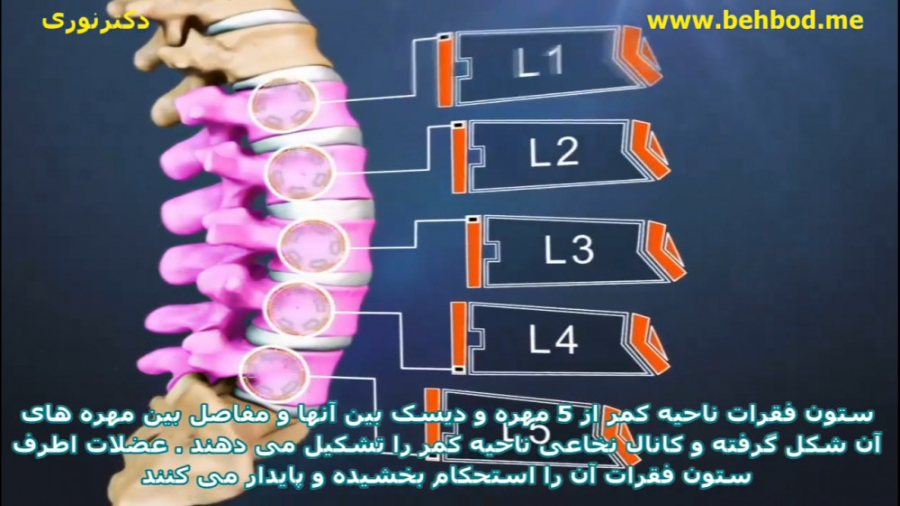 کمر و ساختمان آن دکتراسماعیل نوری