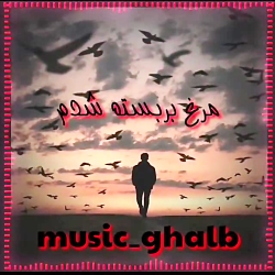 کلیپ عاشقانه_آهنگ عاشقانه_کلیپ...