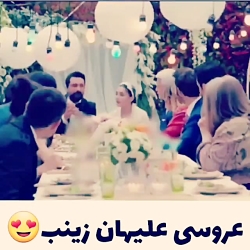 دانلود رایگان سریال سیب ممنوعه...