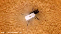 ناسا در حال ارسال اولین وسیله...