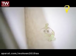 قسمت ۸۳  اوم نوم  شبکه پویا  ک...