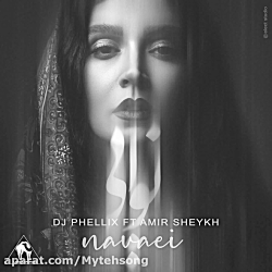 آهنگ جدید دیجی فلیکس و امیر شی...