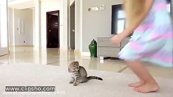 دیانا و روما - دیانا روما - دی...