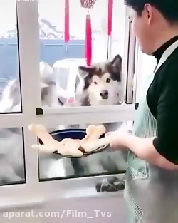 بوفه مدرسه در زنگ تفریح