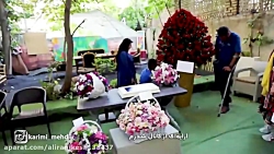 تولد کارگردان سریال دل