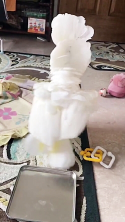 بدوبدو بازی کنیم