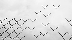 حقایقی مهم از استوانه معروف کو...