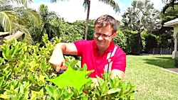 دیانا و روما - بازی دیانا و رو...