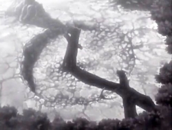 انیمه ی naruto ناروتو قسمت 146...