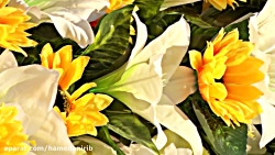 تصاویر خیلی جالب از چراغانی حر...