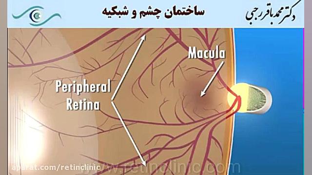 ساختمان چشم و شبکیه دکتر محمد باقر رجبی -فوق تخصص شبکیه و لیزر