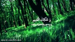 دعای عهد  علی فانی