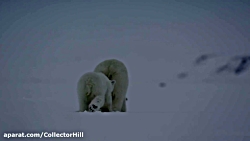 مستند حیات وحش سیاره ما بخش ۲...