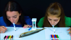 چالش نقاشی 2 نفره