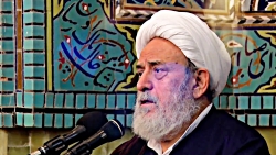 دلتنگی های امام رضا (ع) برای ش...