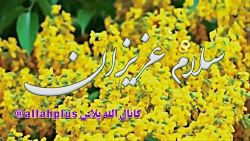 بهترین کلیپ عصر بخیر با موسقی...