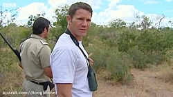 تمساح آماده شکار - شکار لحظه ه...