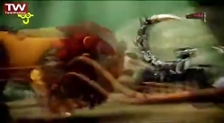 افسانه چیما