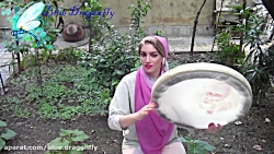 دف نوازی ولادت امام رضا  موسیق...