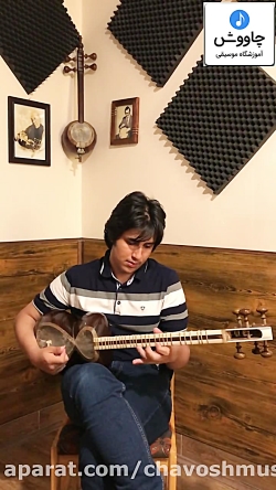 تار ترانه بیرجندی موسیقی سنتی