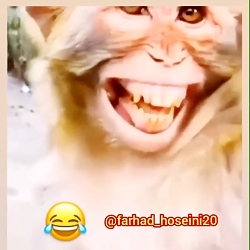 کلیپ طنز ... خنده های گرانی دل...