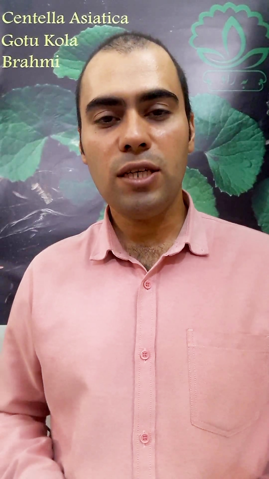 معرفی گیاه دارویی گوتاکولا- مقدمه