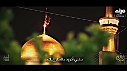 نماهنگ امام رضا قربون کبوترات...