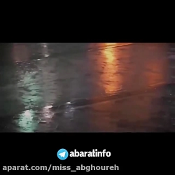 کلیپ تبریک تولد امام رضا | ولا...