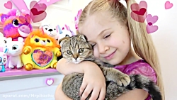 دیانا و ماجرای گم شدن گربه اش/...