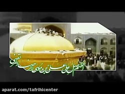 نماهنگ تولد امام رضا(ع)