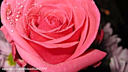 دکلمه های جالب و شنیدنی...!!