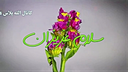 بهترین کلیپ عصر بخیر با موسقی...