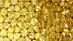 کلیپ تبریک تولد امام رضا | ولا...