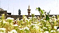 مولودی ولادت امام رضا &quot;بن...