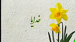 کلیپ کوتاه عاشقانه امام زمان ❤