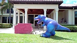 ناستیا و استیسی - ماجراهای ناس...