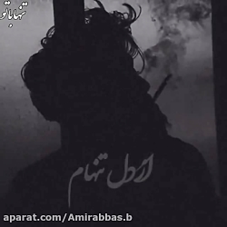 غمگین ترین کــلیپ  از دل تنهــ...