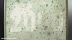 ظاهر وان پلاس نورد در یک ویدیو...