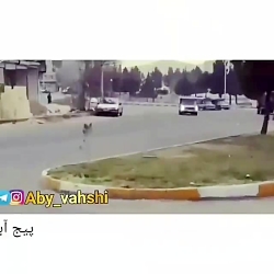 نیسان ابی رام نشده