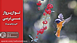 رادیو مهرآوا: تو از پرواز میت...