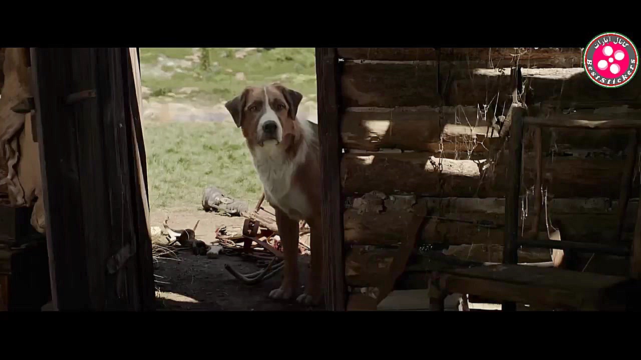 فیلم - The Call of the Wild 2020 آوای وحش - دوبله فارسی - پارت 3 زمان1987ثانیه