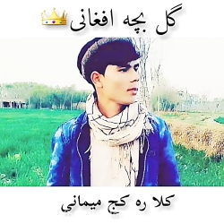 صدای زیبای افغانی